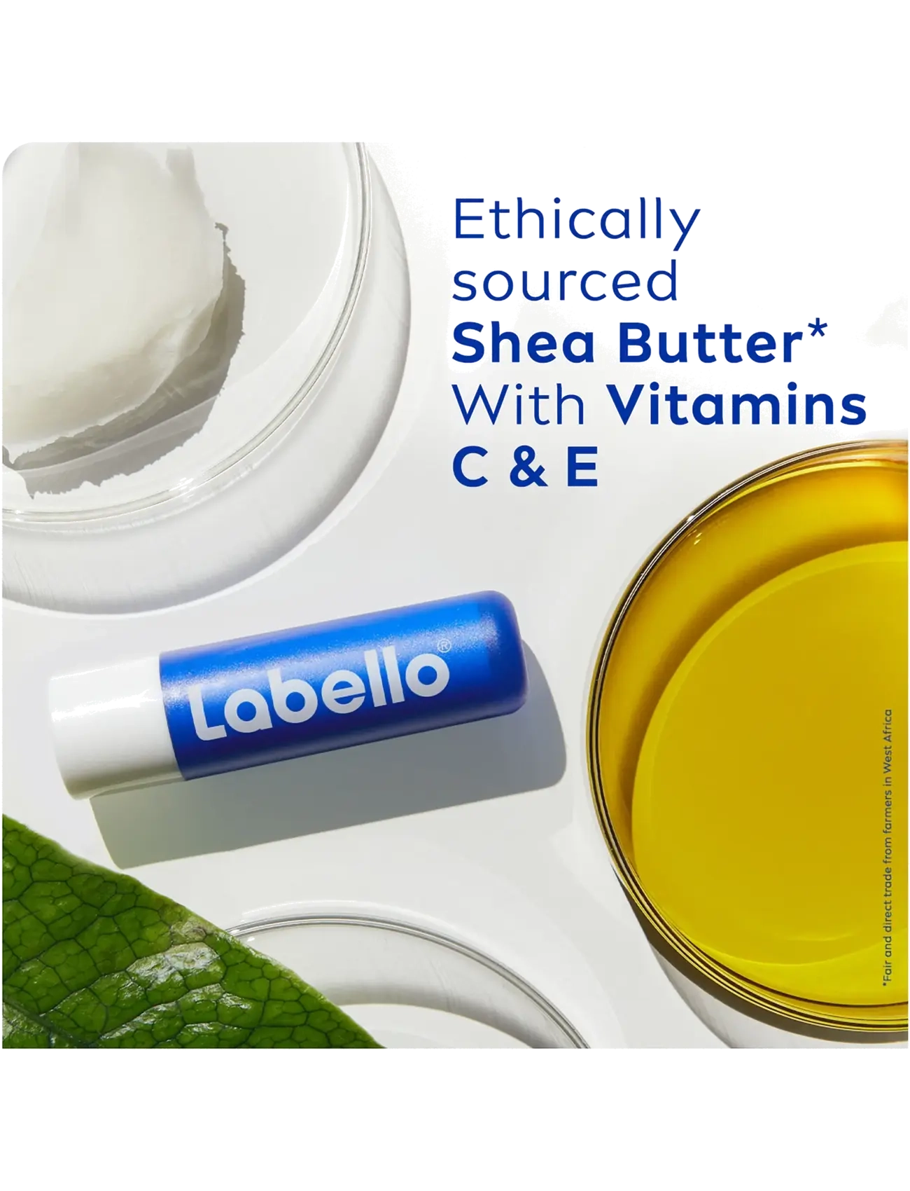 Labello - Original Care Lip Balm - clear - 1