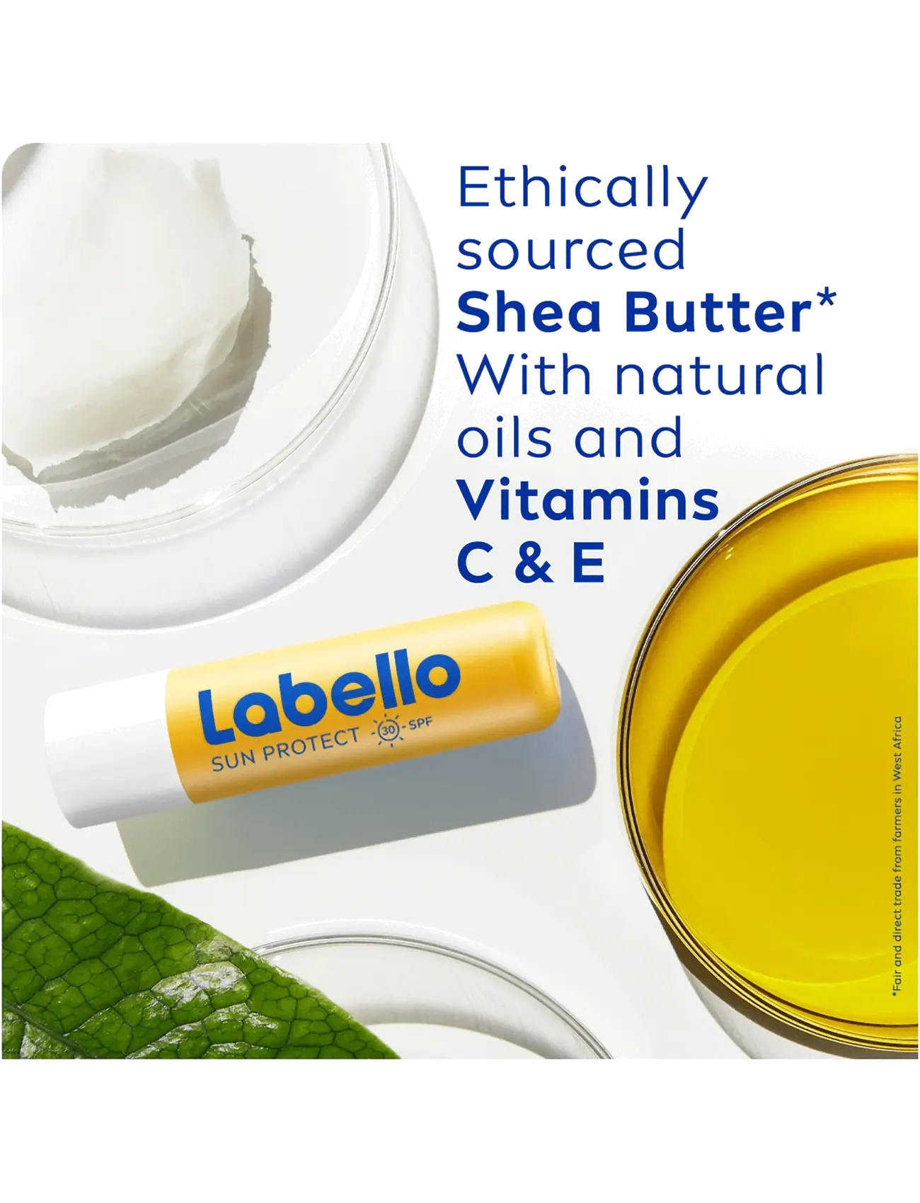 Labello - Sun Protect Lip Balm - för läpparna - clear - 2