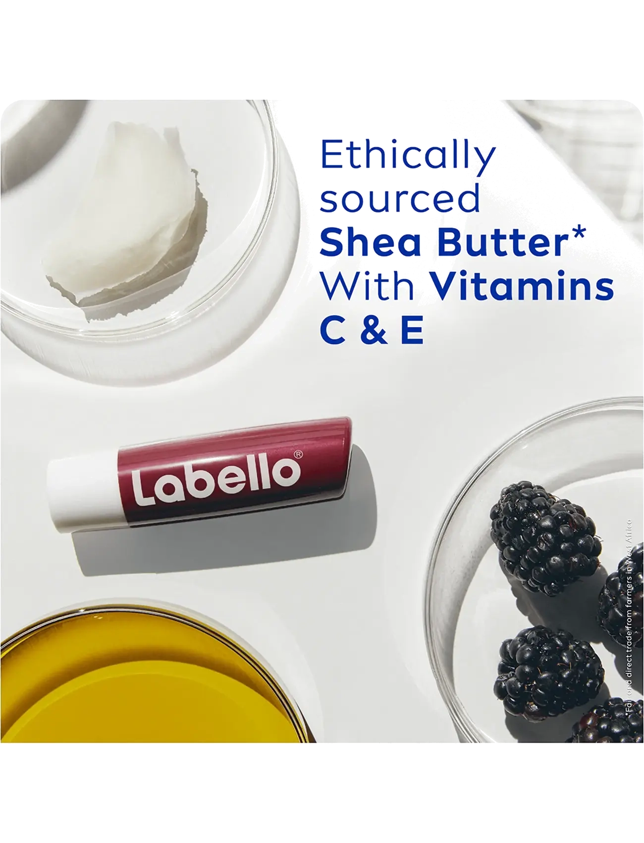 Labello - Shine Lip Balm - huulirasvat - blackberry - 2