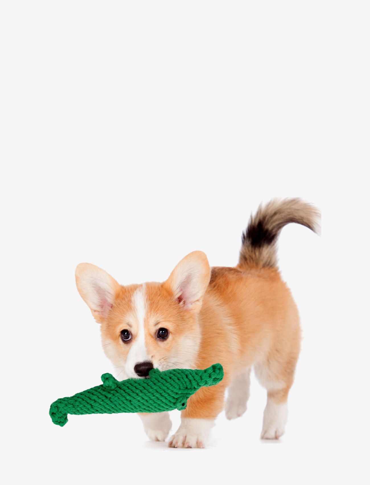 Laboni - DogToy-
Kalli Krokodil - green - 2