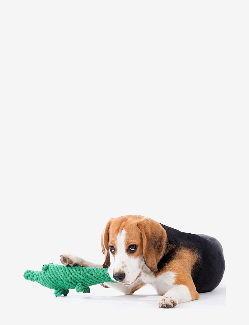 Laboni - DogToy-
Kalli Krokodil - green - 5