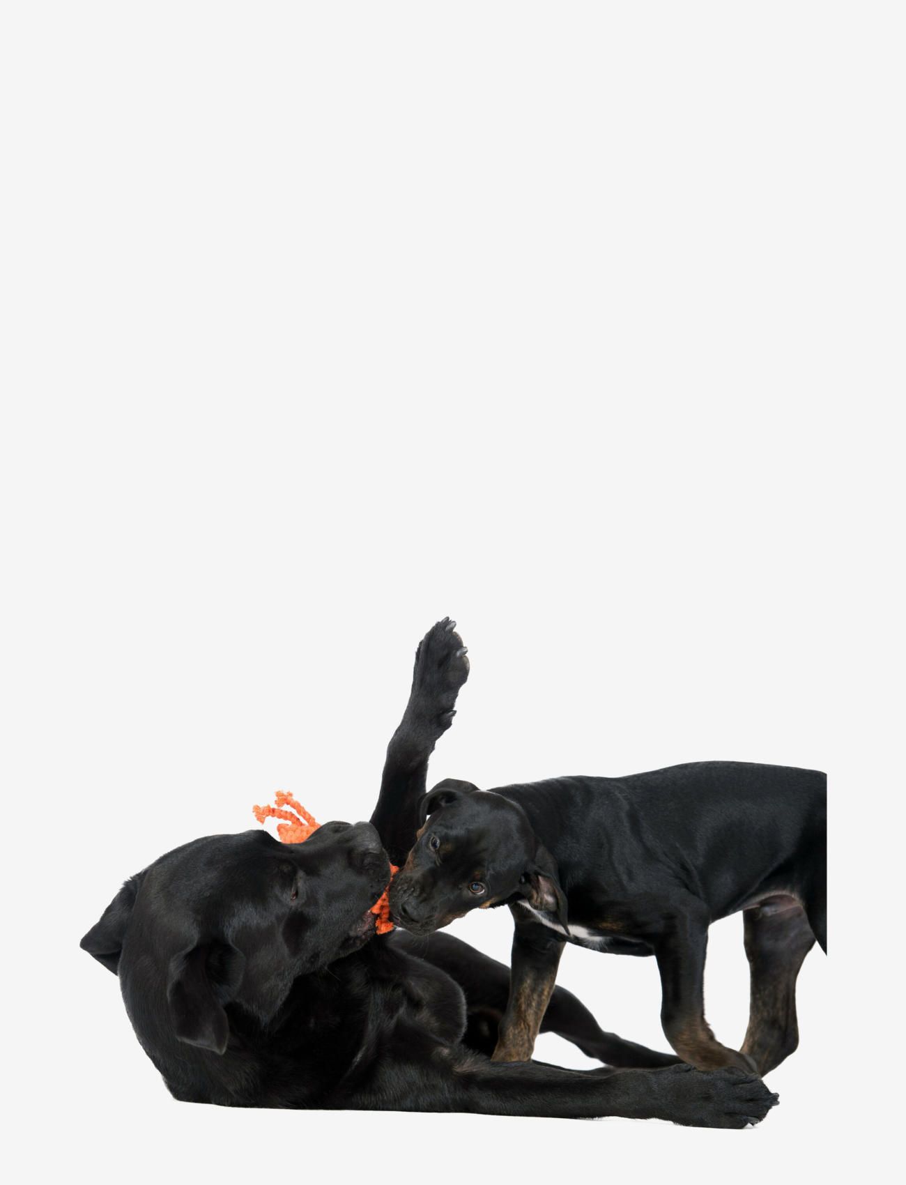 Laboni - DogToy- Kristof Krabbe - orange - 1