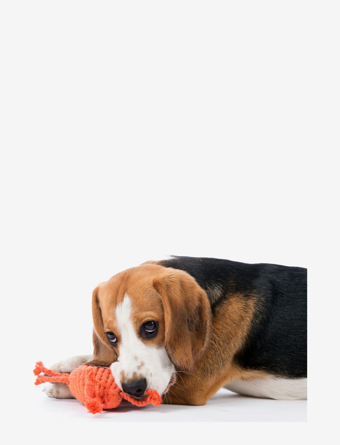 Laboni - DogToy- Kristof Krabbe - orange - 2