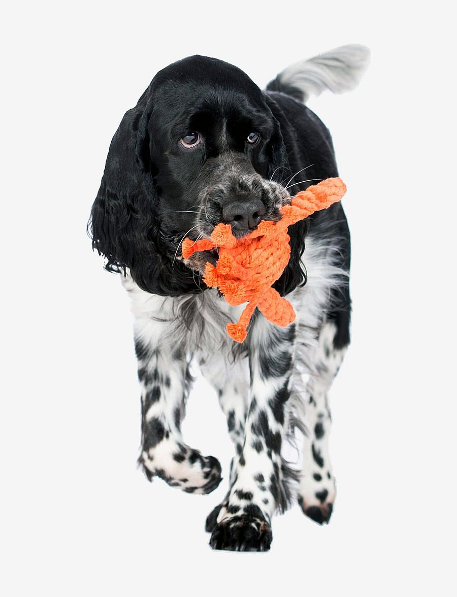 Laboni - DogToy- Kristof Krabbe - orange - 4
