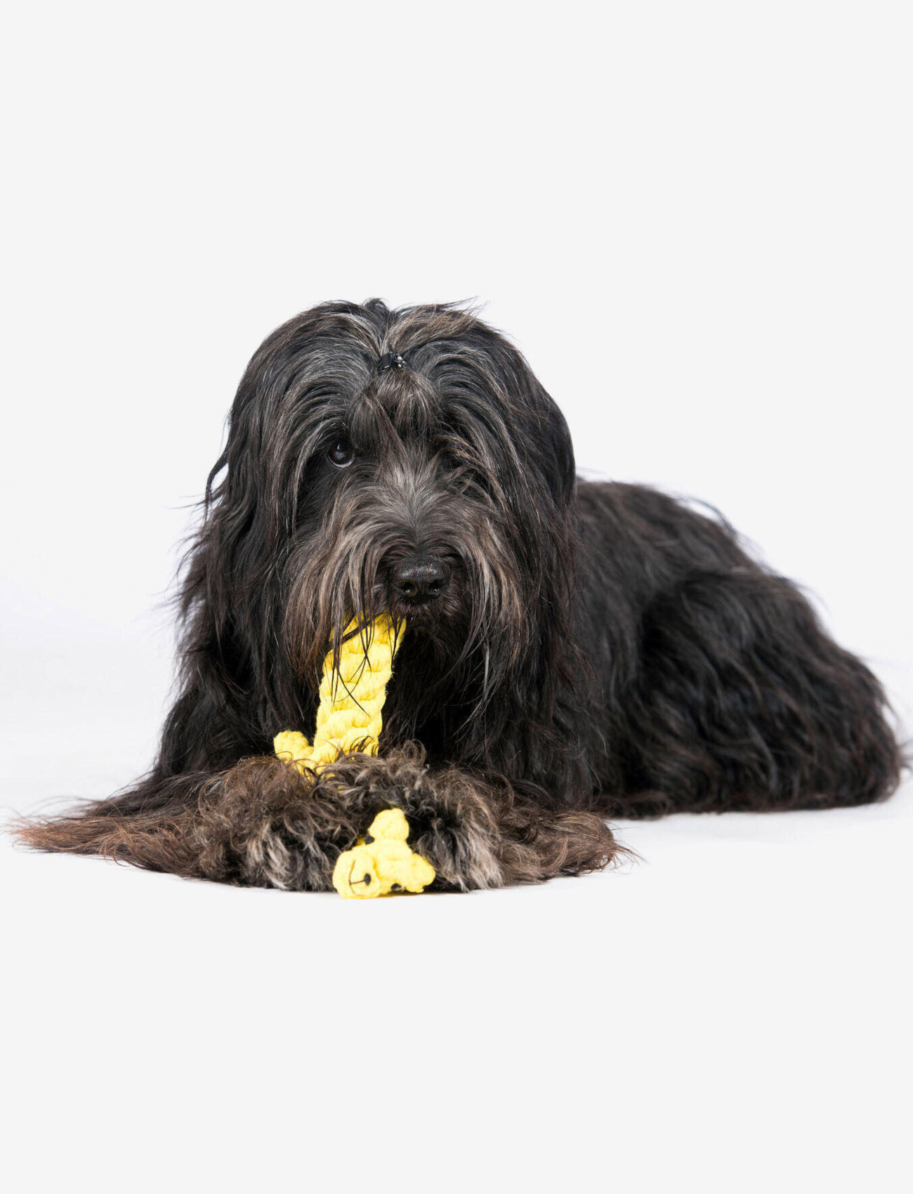 Laboni - DogToy- 
Gretchen Giraffe - yellow - 1