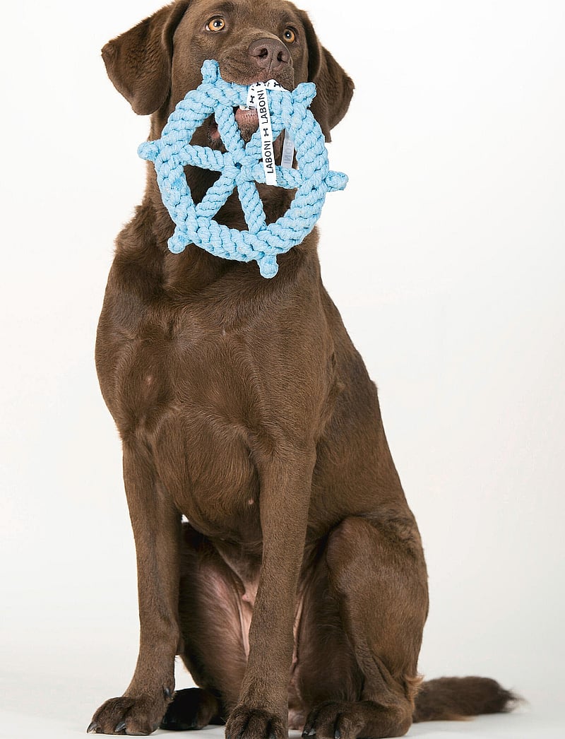Laboni - DogToy-
Skipper - lightblue - 5