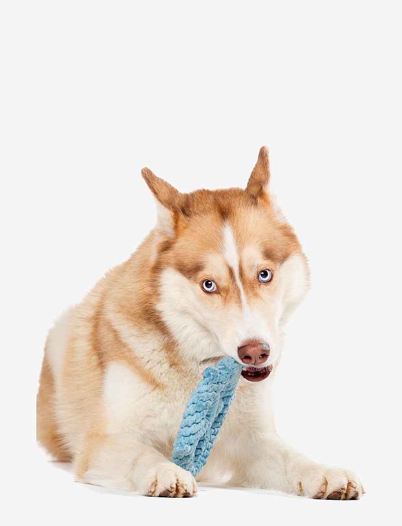 Laboni - DogToy-
Skipper - lightblue - 3