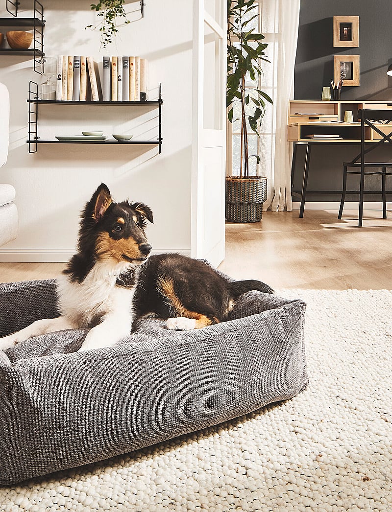 Laboni - Tudor Dogbed Medium - anthrazit - 5