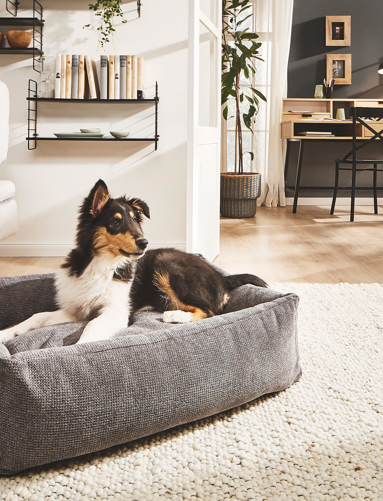 Laboni - Tudor Dogbed Medium - anthrazit - 5