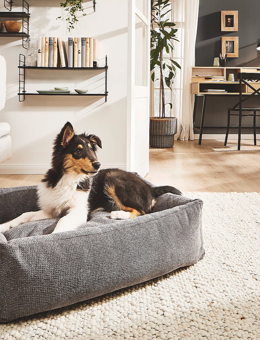 Laboni - Tudor Dogbed Medium - anthrazit - 5
