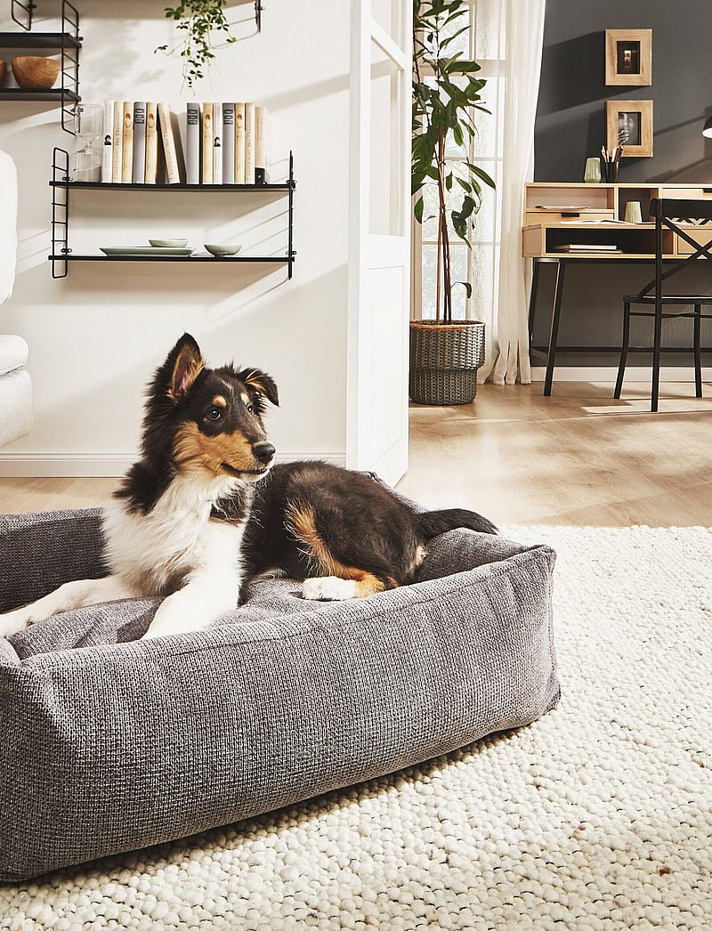 Laboni - Tudor Dogbed Medium - anthrazit - 2