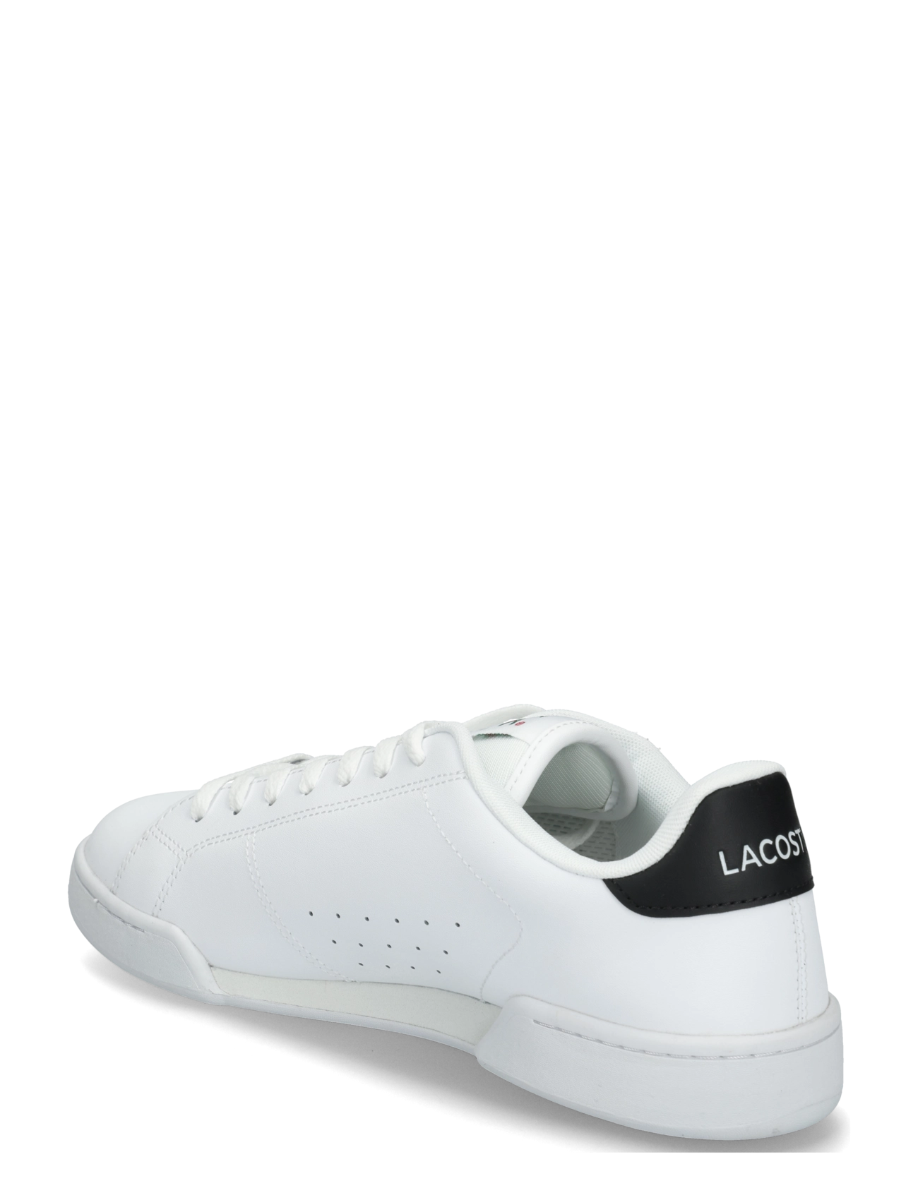 Lacoste - CARNABY CUP 225 5 SMA - wht/blk - 1