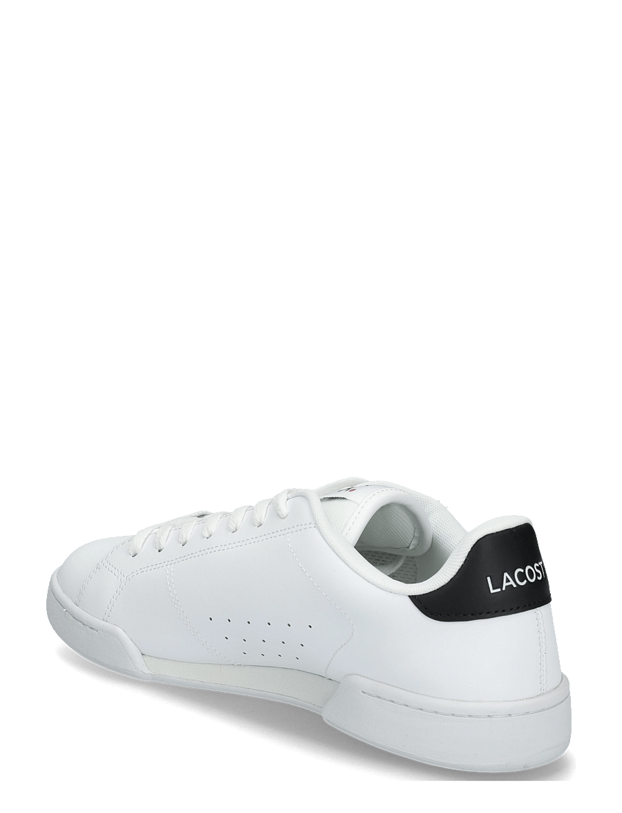 Lacoste - CARNABY CUP 225 5 SMA - nach anlass kaufen - wht/blk - 1