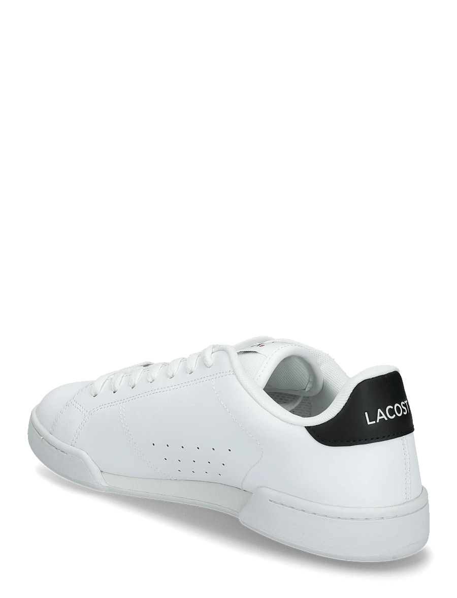 Lacoste - CARNABY CUP 225 5 SMA - shop efter anledning - wht/blk - 1