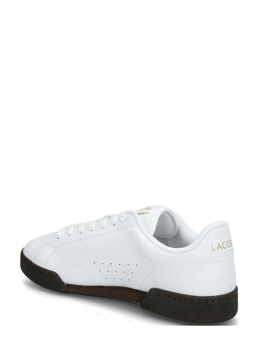 Lacoste - CARNABY CUP 226 8 SMA - nach anlass kaufen - wht/dk gum - 1