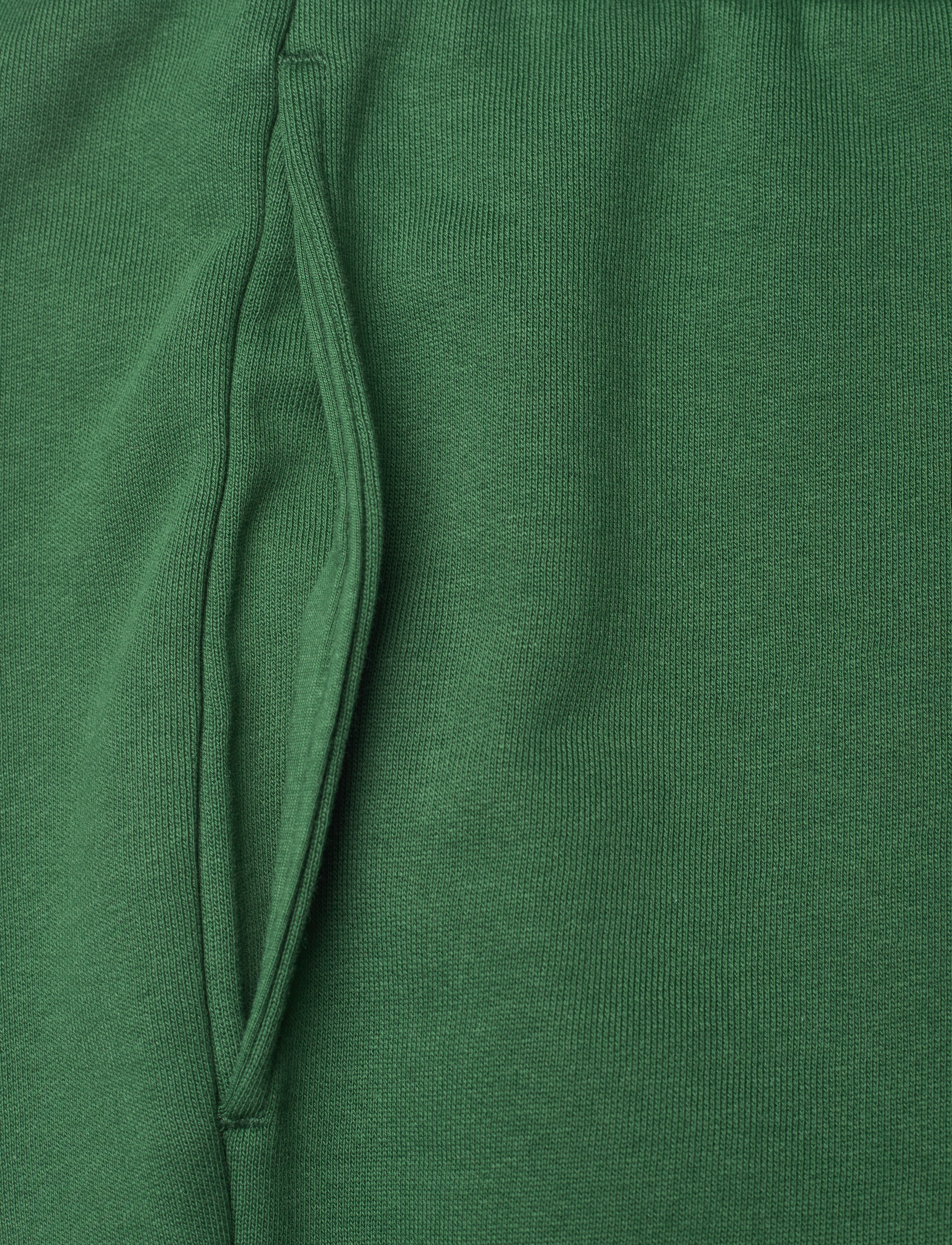 Lacoste - 1HW2 Men's tracksuit trousers - green - 3