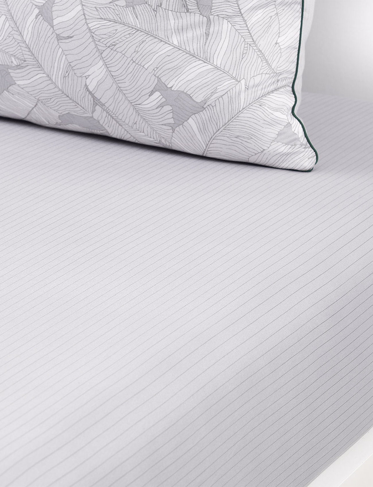 Lacoste Home - LLEAF Fitted sheet - formsyet lagen - gris - 1