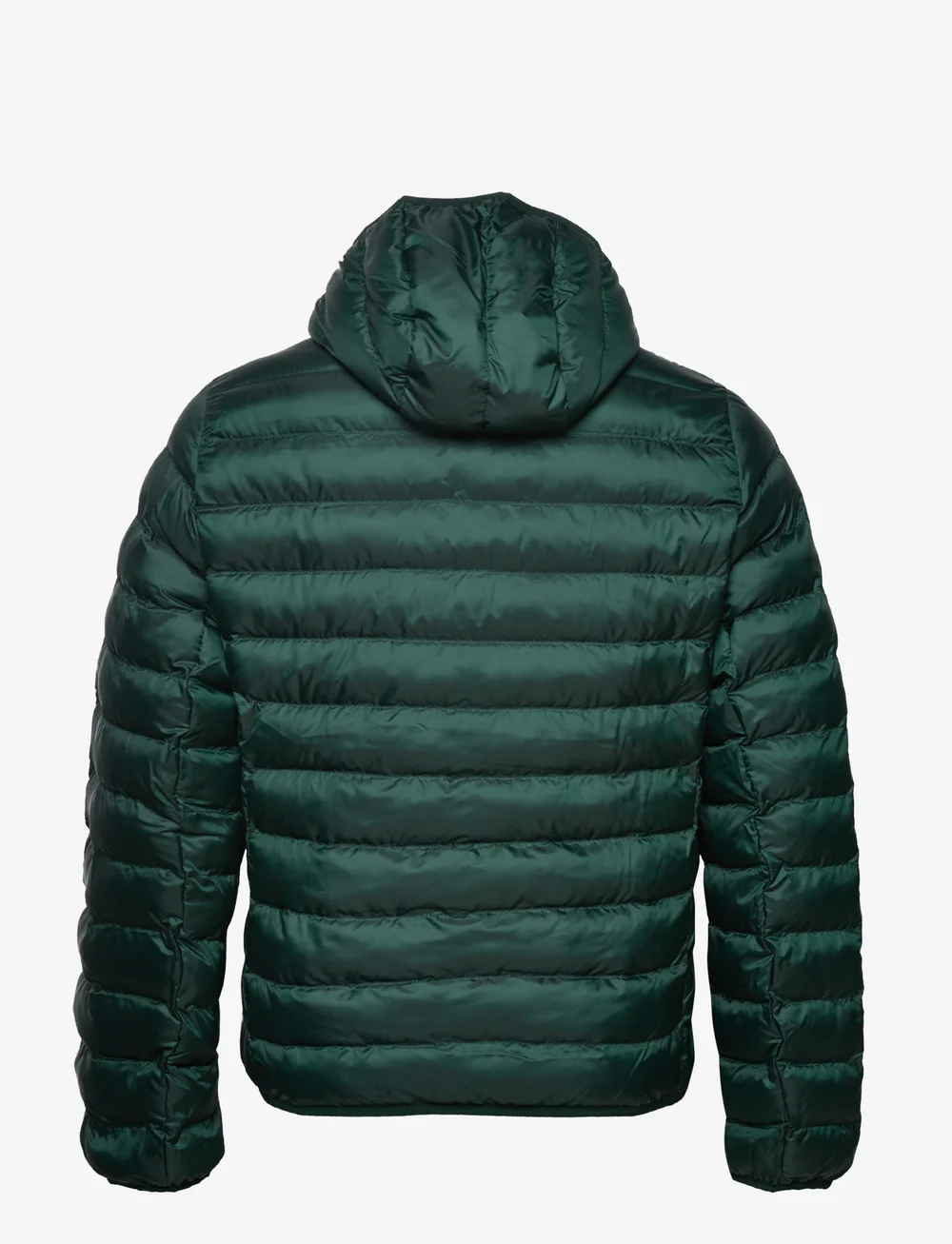 Mens lacoste 2025 winter coats