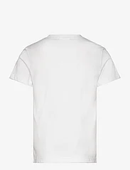 Lacoste - TEE-SHIRT&TURTLE - kortermede t-skjorter - white - 1