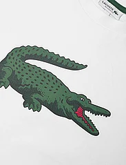 Lacoste - TEE-SHIRT&TURTLE - short-sleeved t-shirts - white - 2