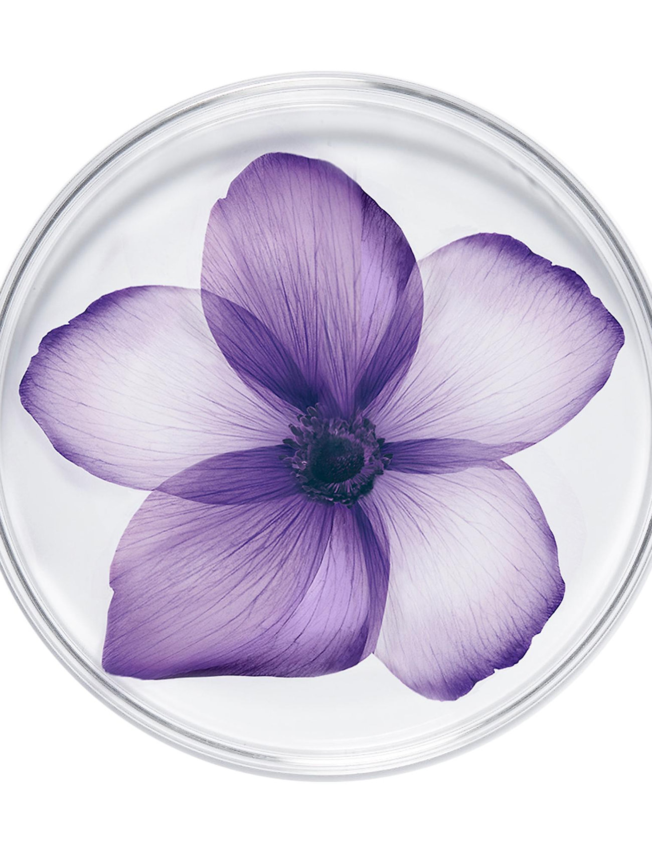 Lancôme - Rénergie Multi-Lift Night Cream - sommerens hudpleje - clear - 4