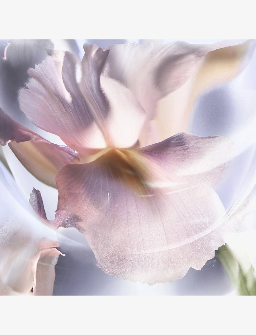 Lancôme - LVEB IRIS INFINI NEW EDP V30ML - handa henni - clear - 4