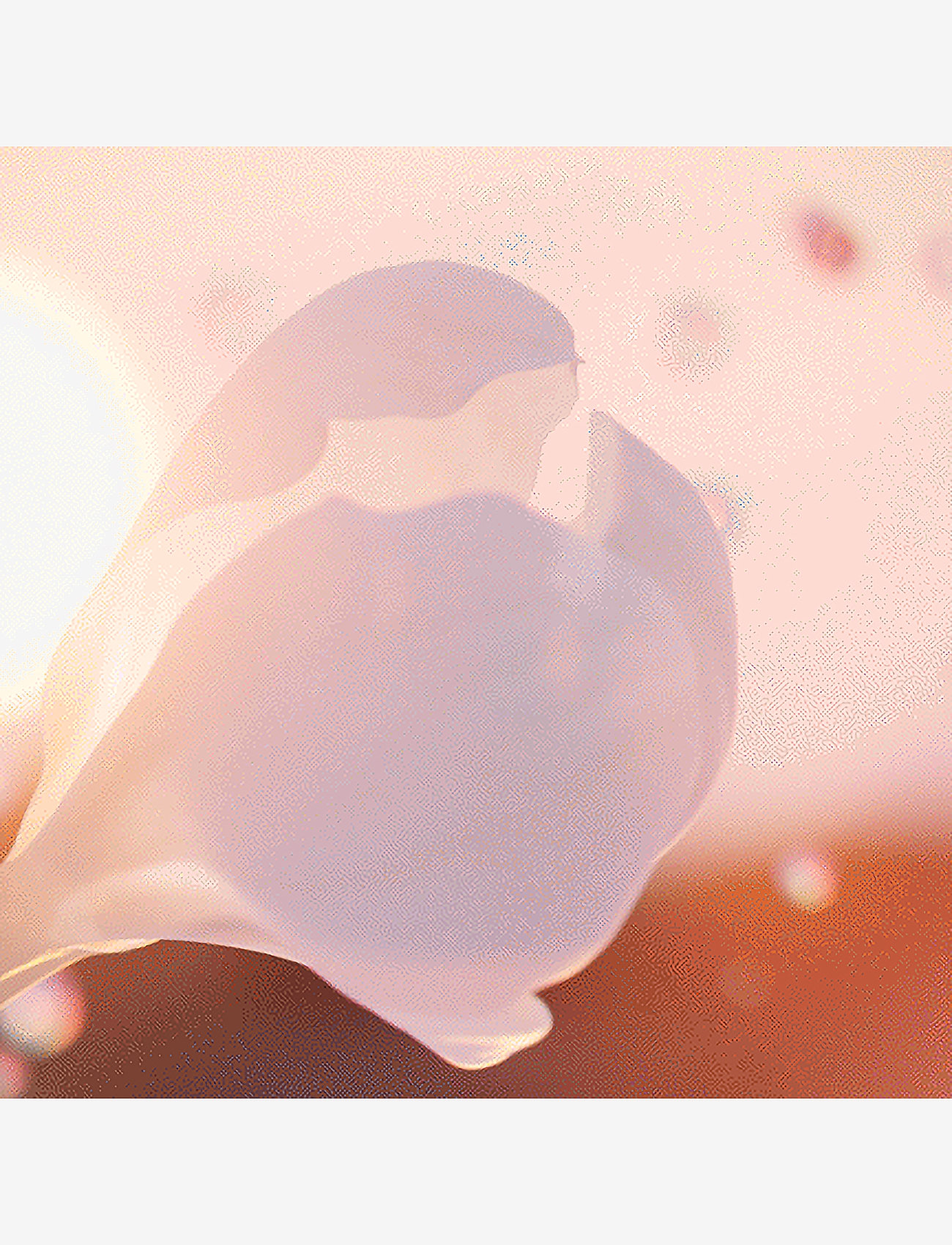 Lancôme - Lancôme Idôle Now Eau de Parfum 25ml - til hende  - clear - 3