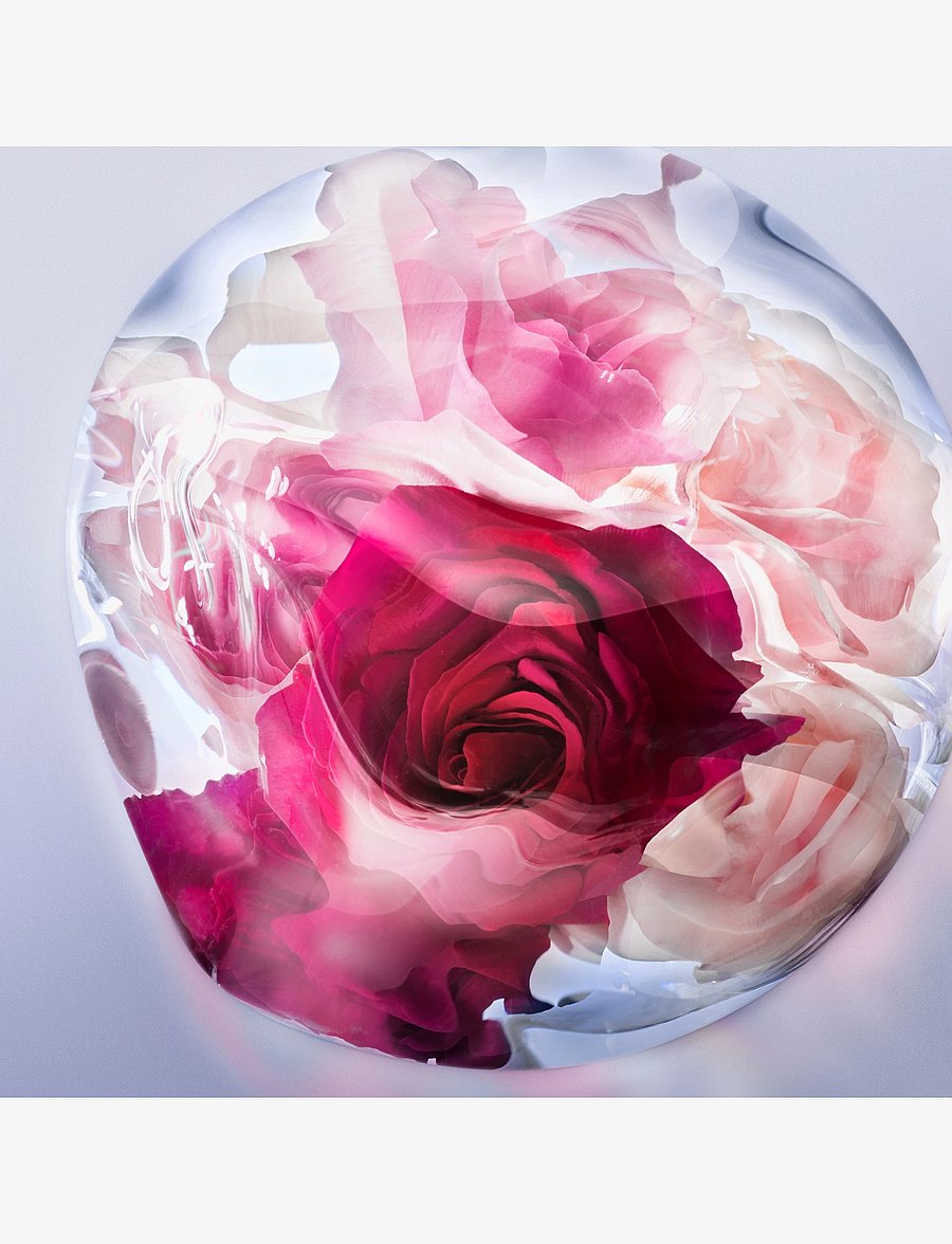 Lancôme - LCM LVEB ROSE EXTRA EDP V50ml - naisille - clear - 4