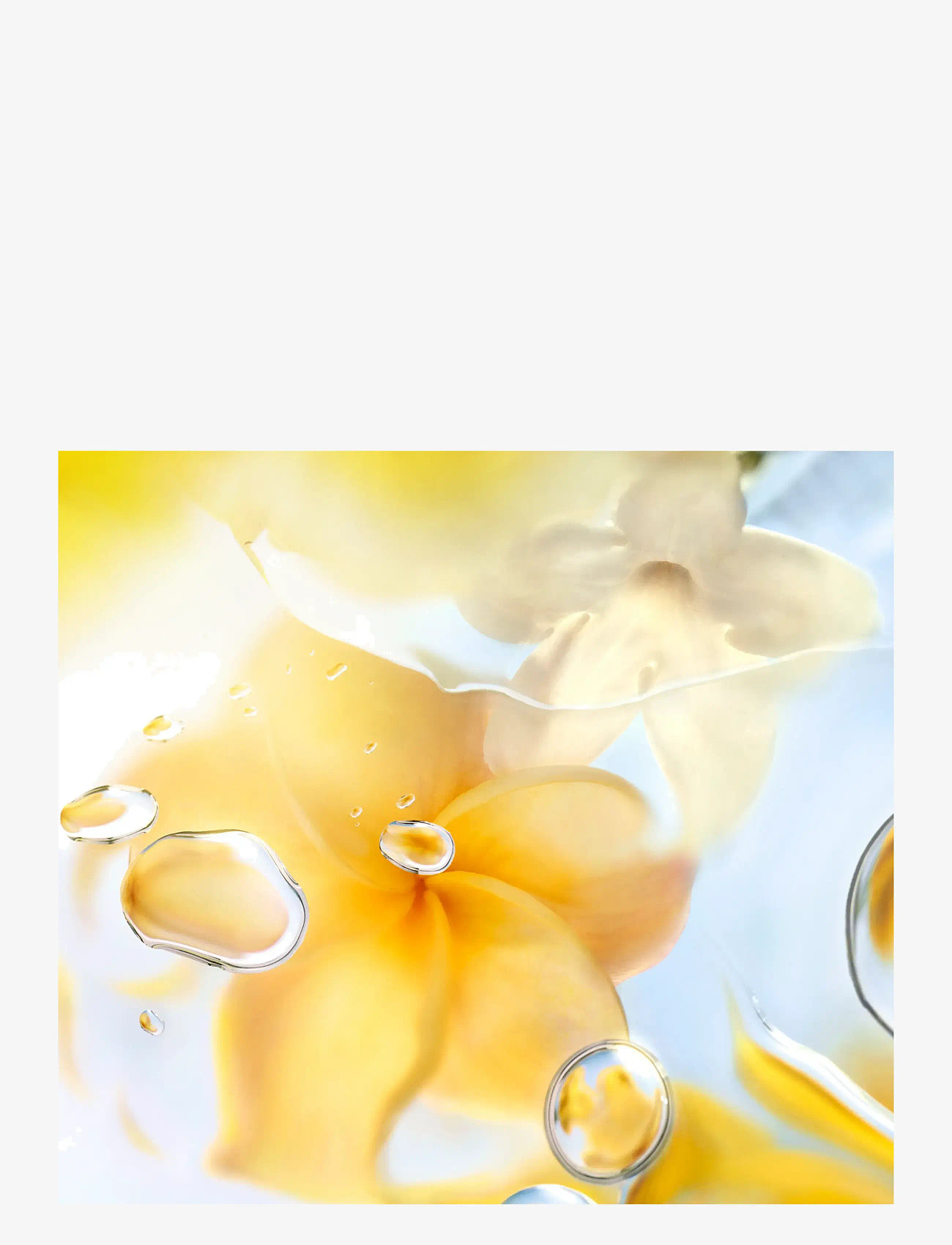 Lancôme - LC ODL O ZENITH EDT V100ml - redo för date night - clear - 4