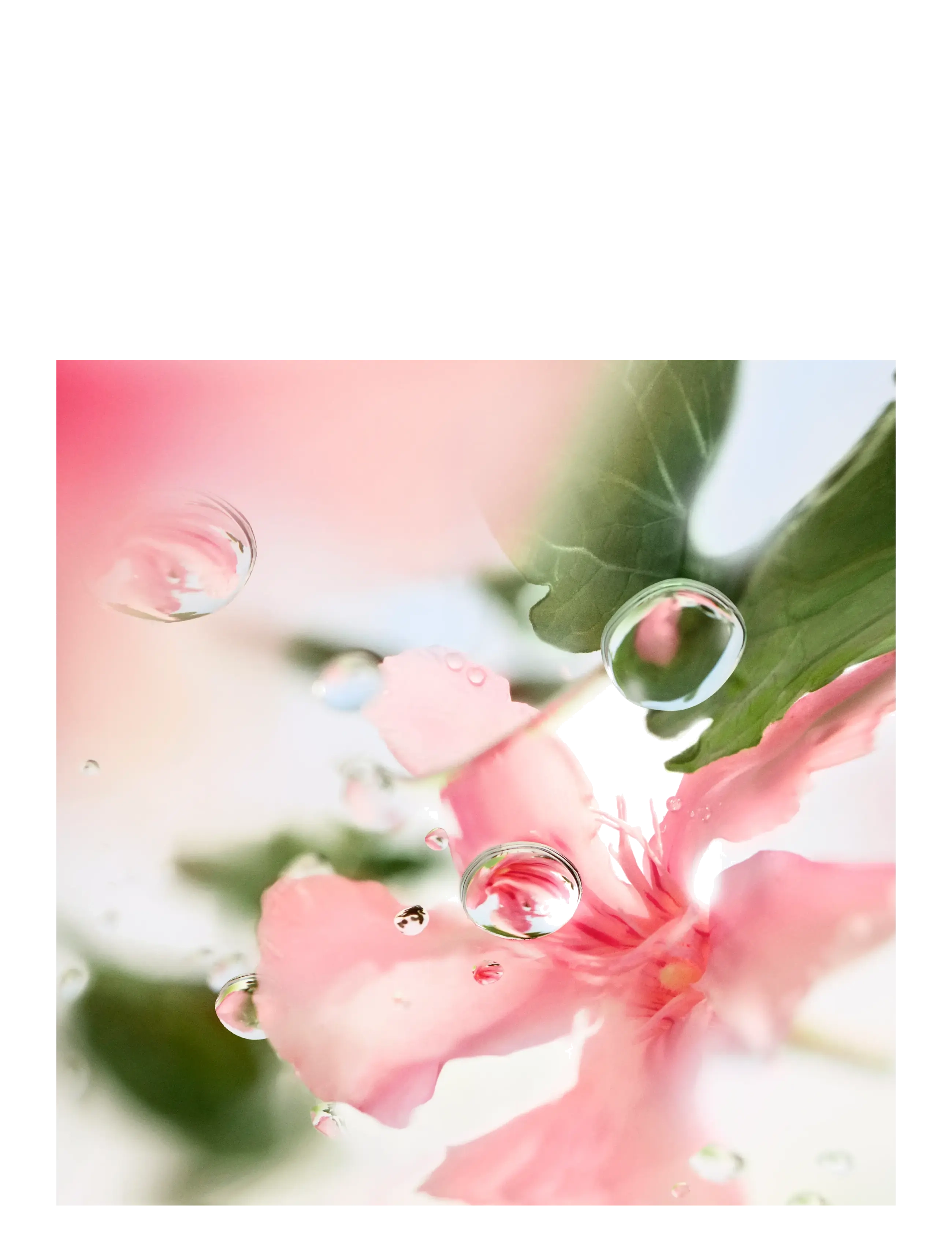 Ô de Lancôme Over The Top Eau de Toilette 6