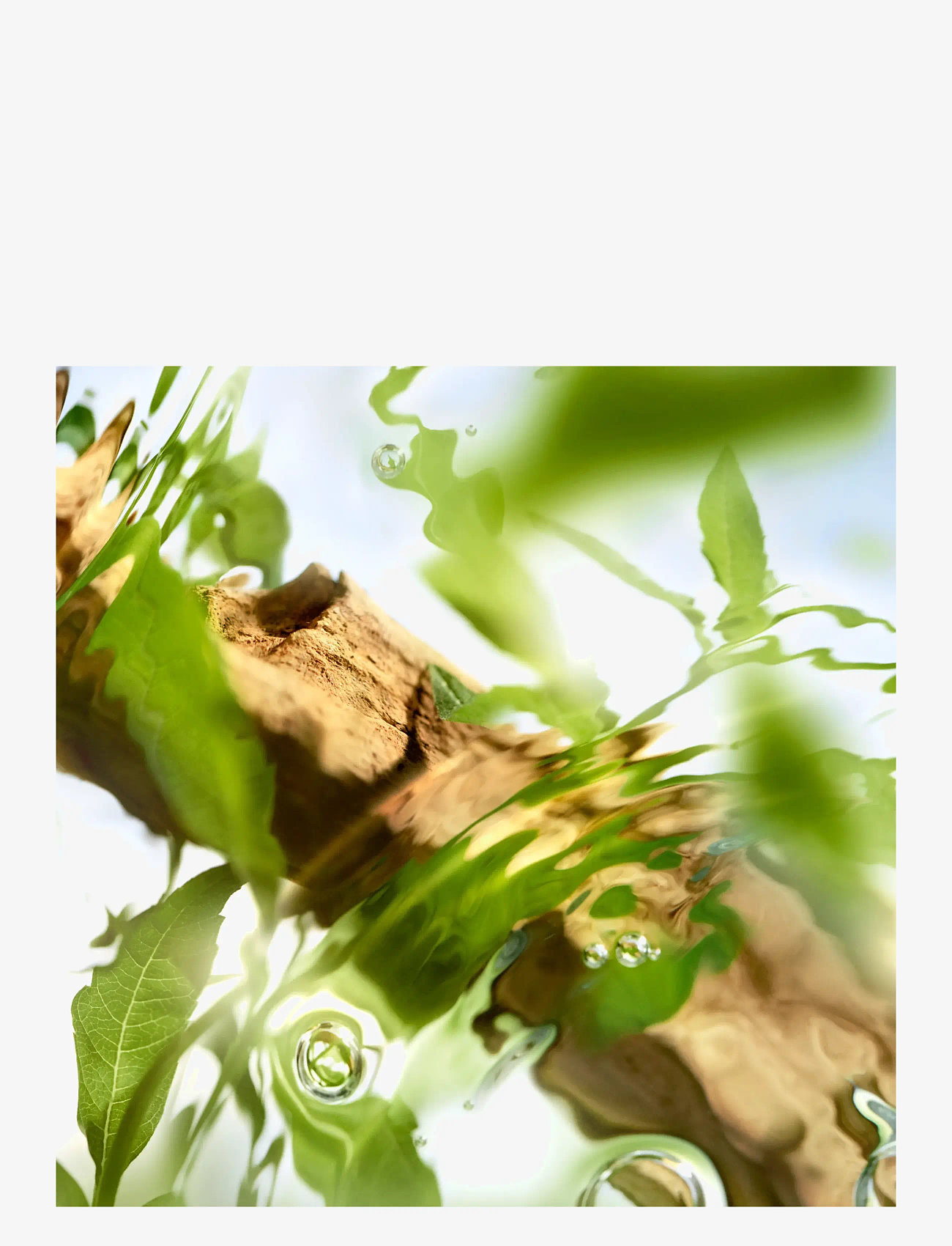 Lancôme - LC ODL OFF NOW EDT V100ml - clear - 4