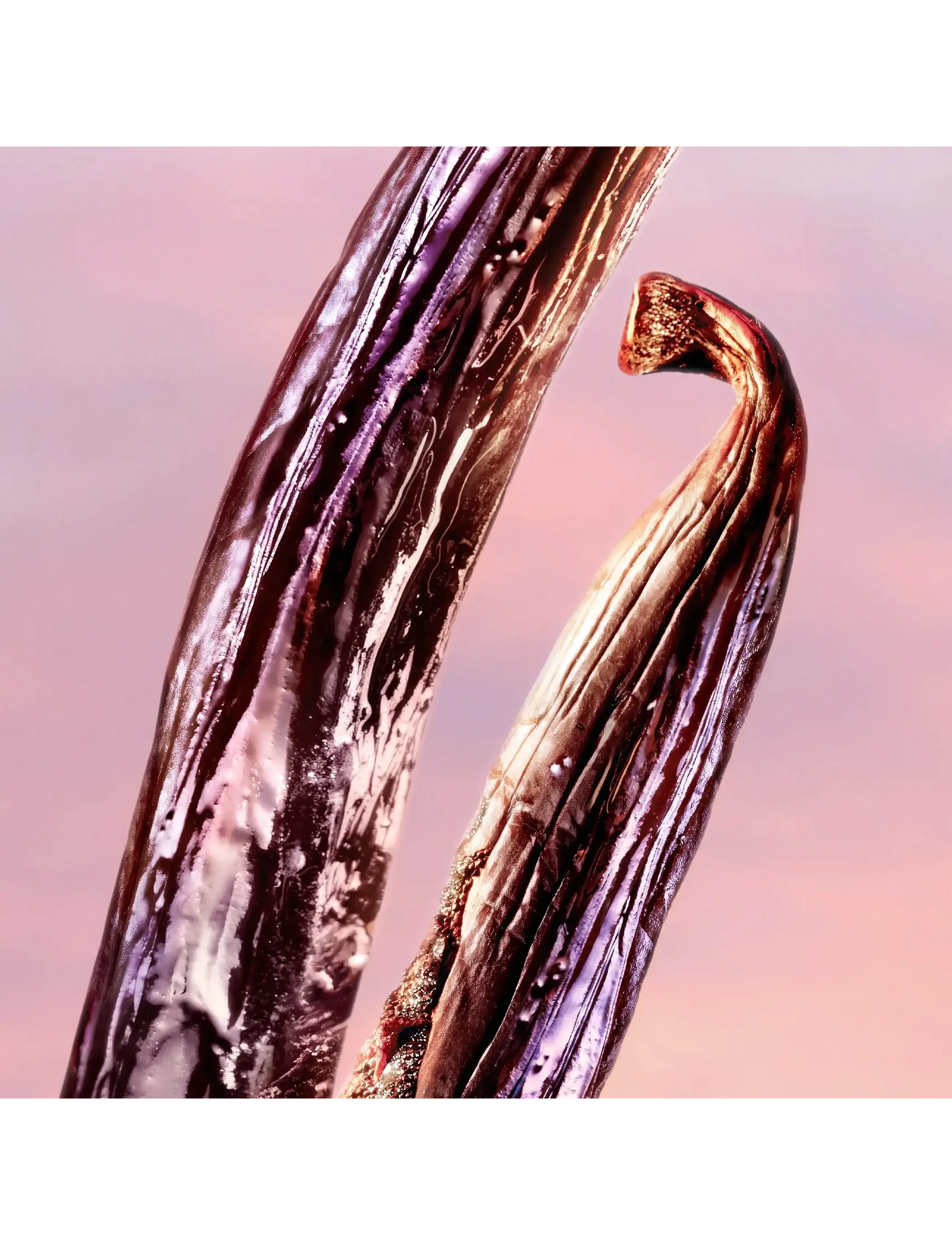 La Vie est Belle Vanille Nude Eau de Parfum 6