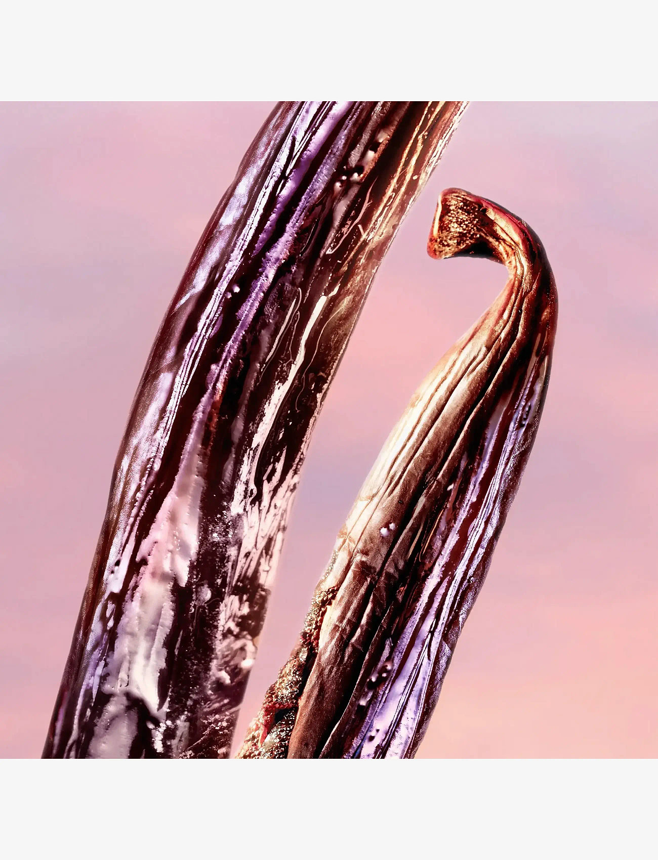 Lancôme - Lancôme La vie est belle Vanille Nude Eau de Parfum 50ml - bliv klar til date night - clear - 3