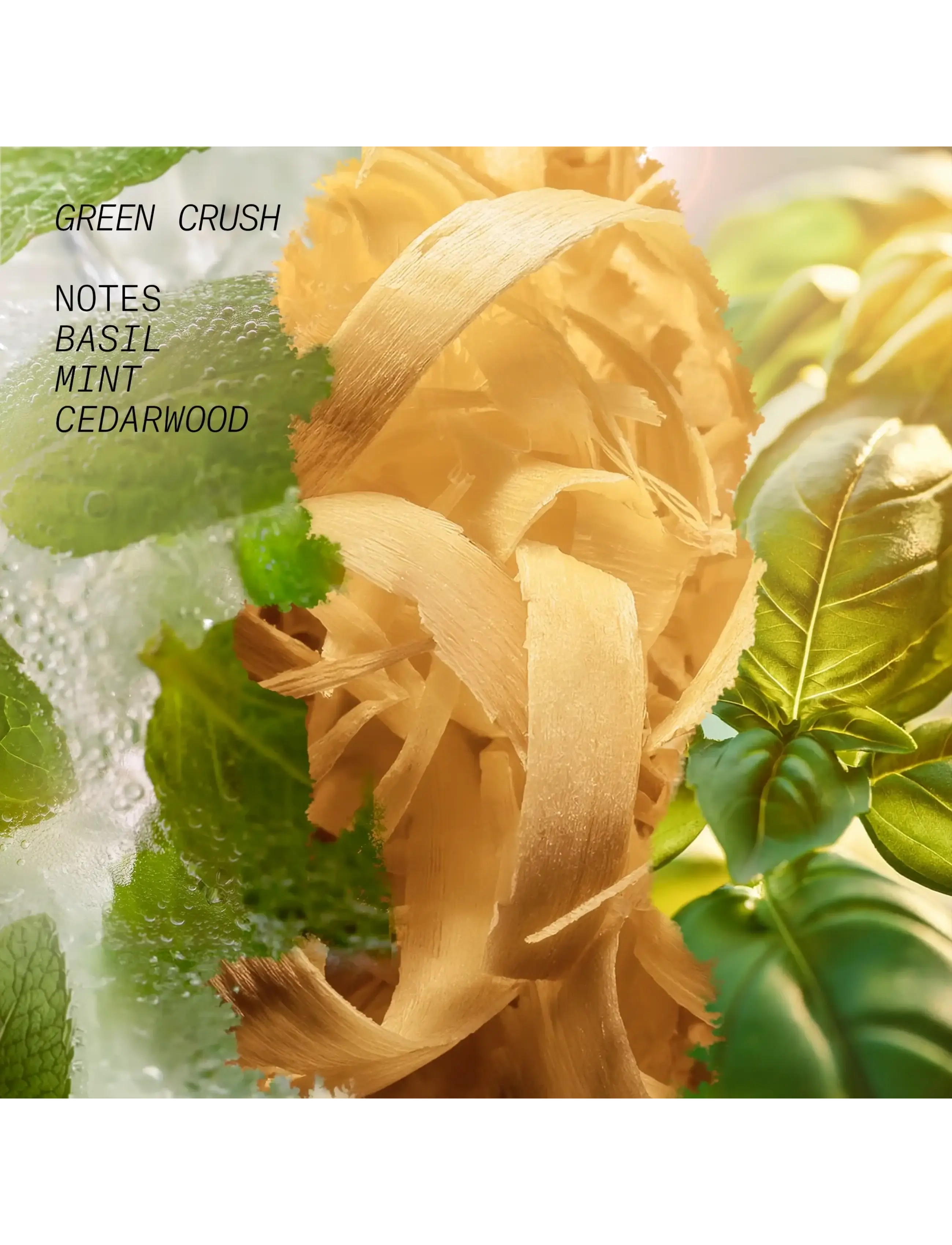 Edp Green Crush 3