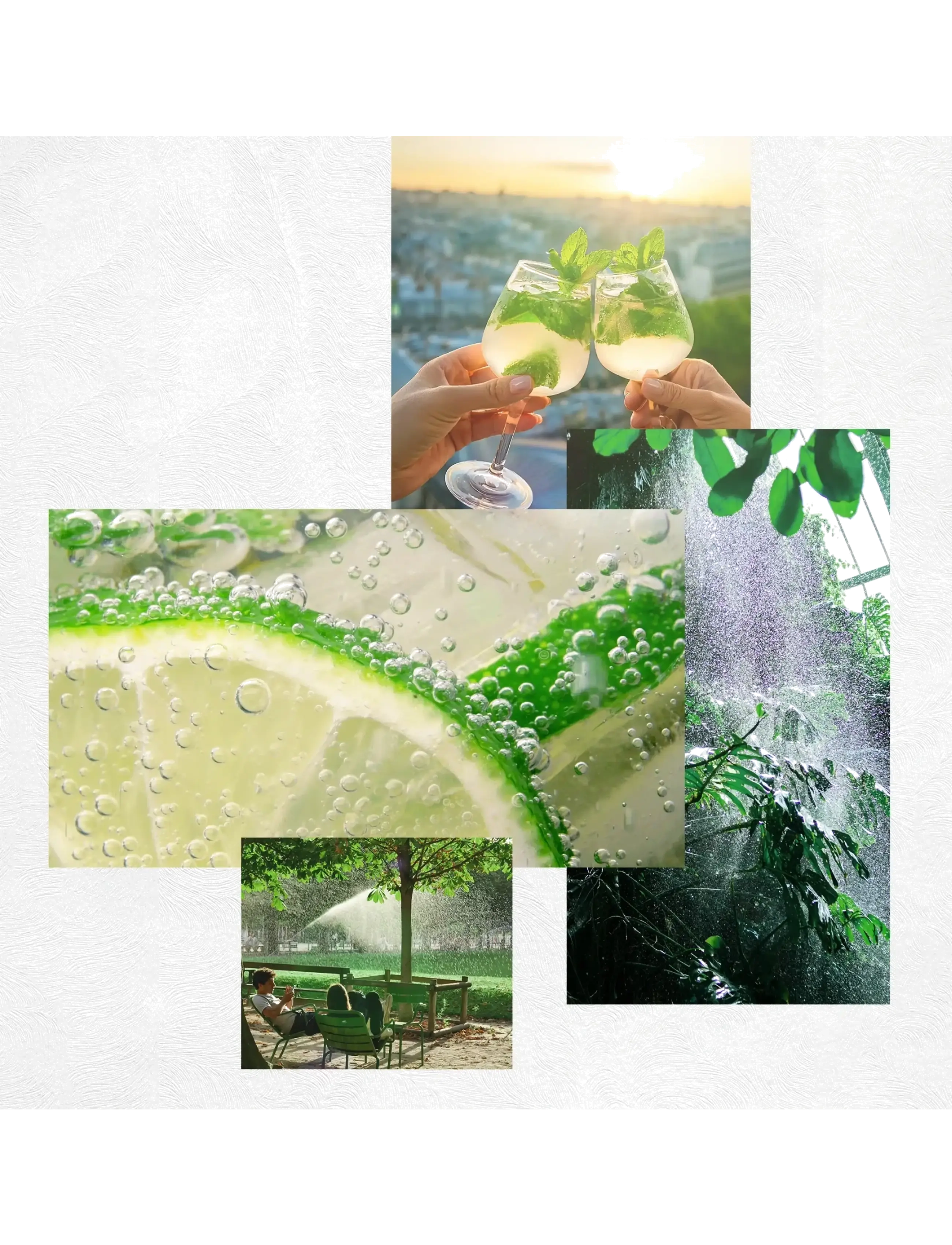 Edp Green Crush 4