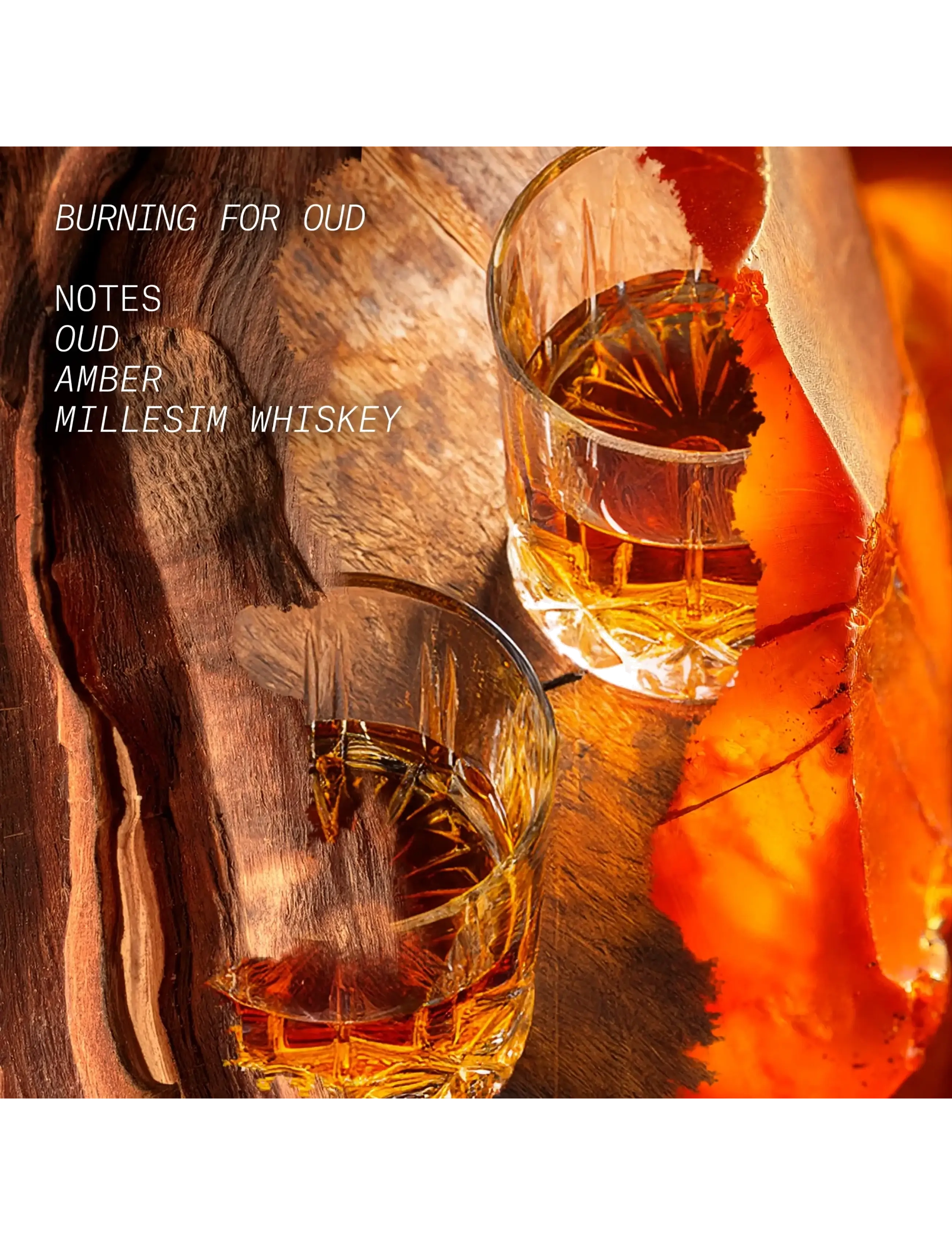 Edp Burning For Oud 4