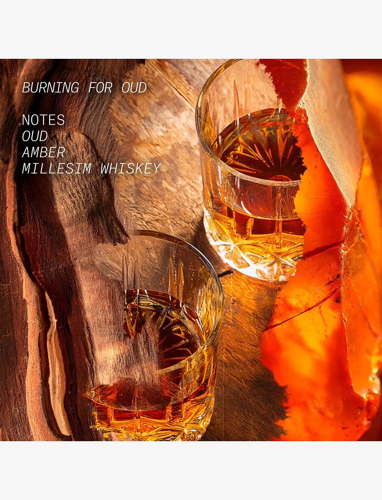 L'atelier Parfum - EDP BURNING FOR OUD 50ML - meestele  - clear - 2