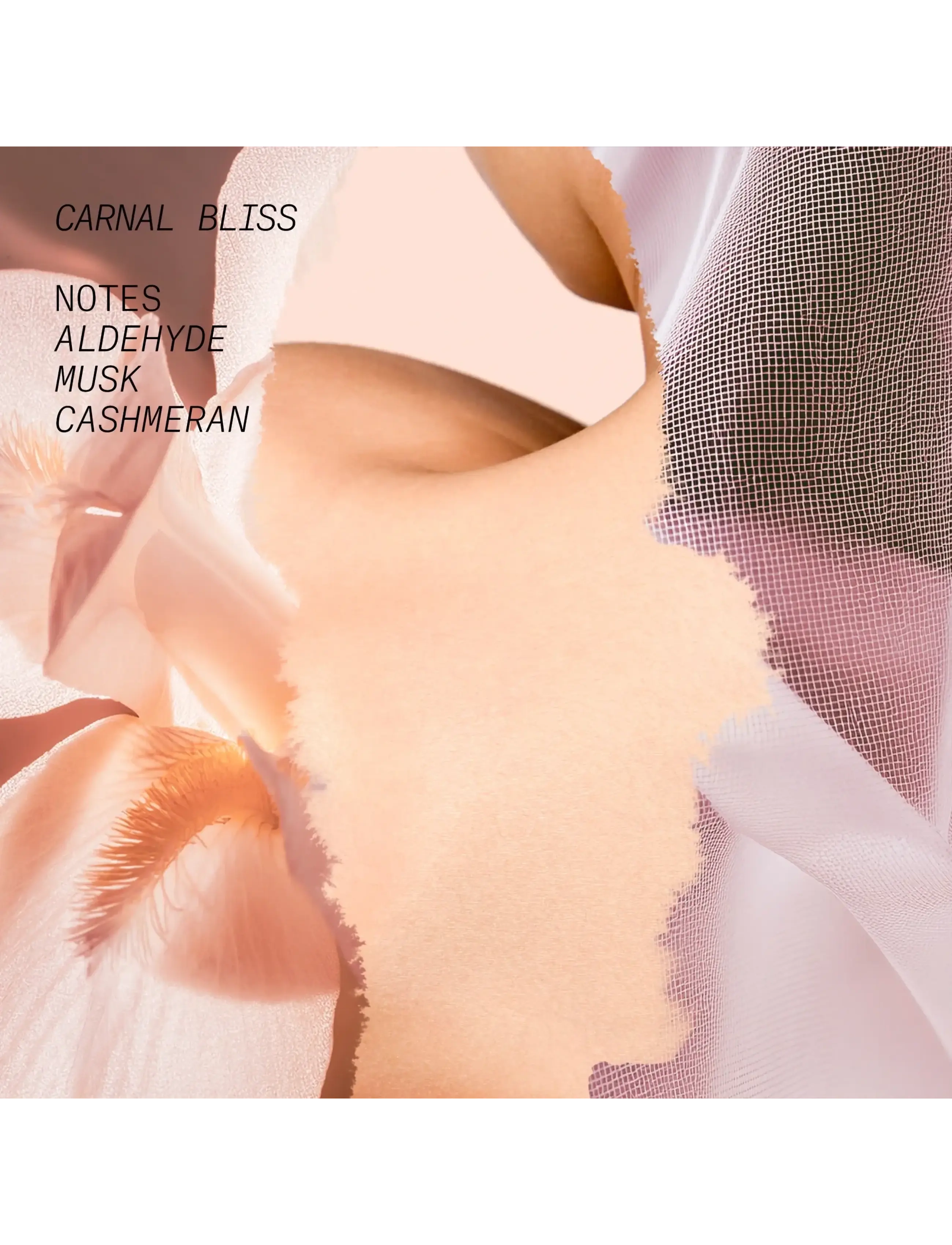Edp Carnal Bliss 4