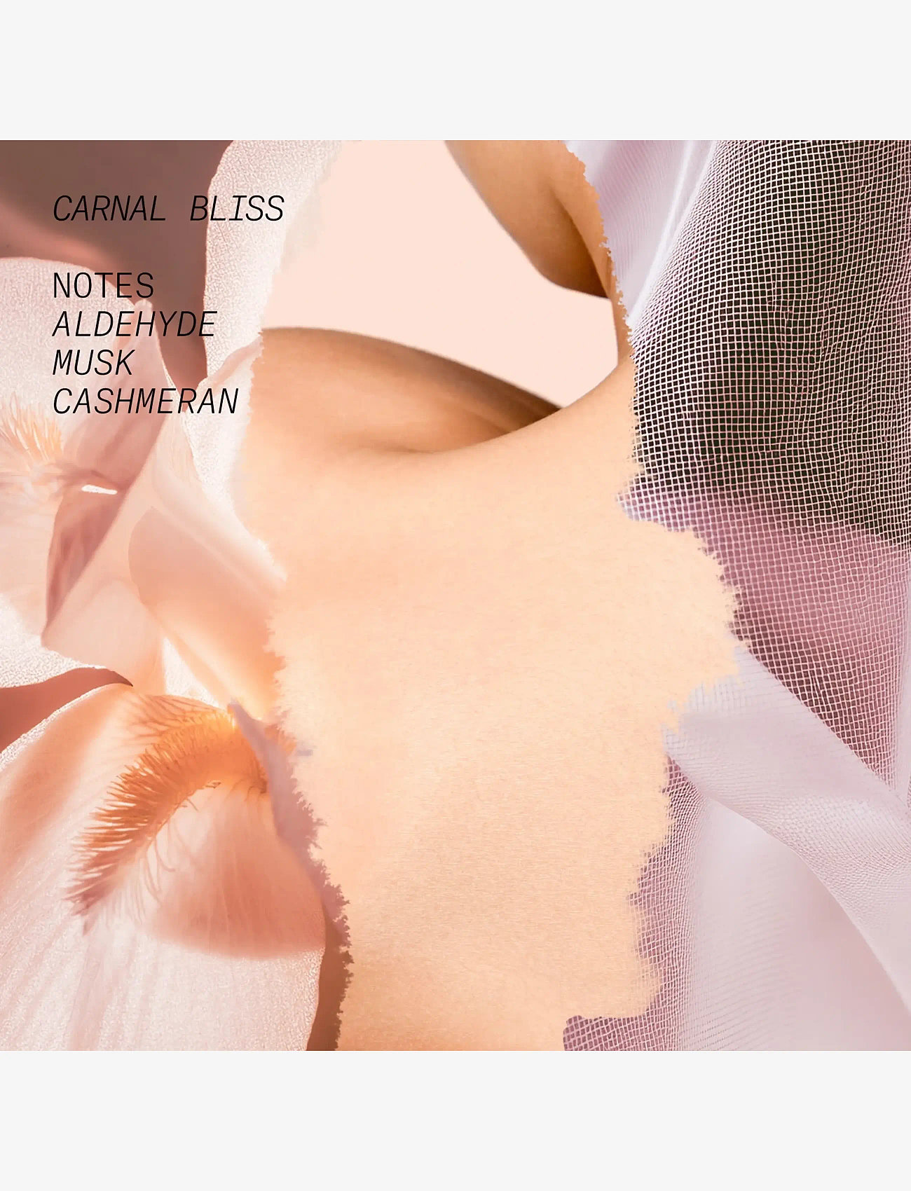 L'atelier Parfum - EDP CARNAL BLISS 15ML - till honom  - clear - 3