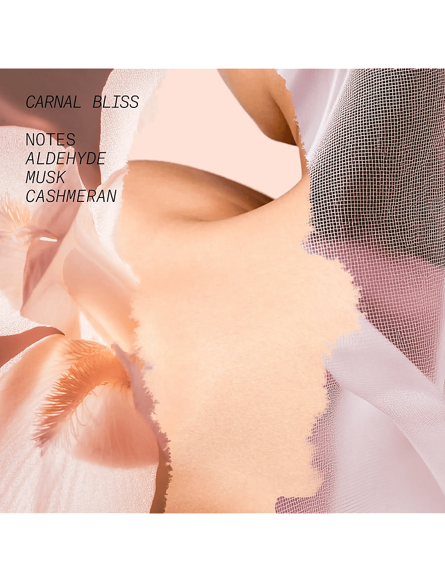 L'atelier Parfum - EDP CARNAL BLISS 15ML - meestele - clear - 3