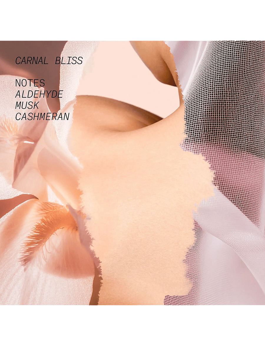 L'atelier Parfum - EDP CARNAL BLISS 50ML - meestele - clear - 2