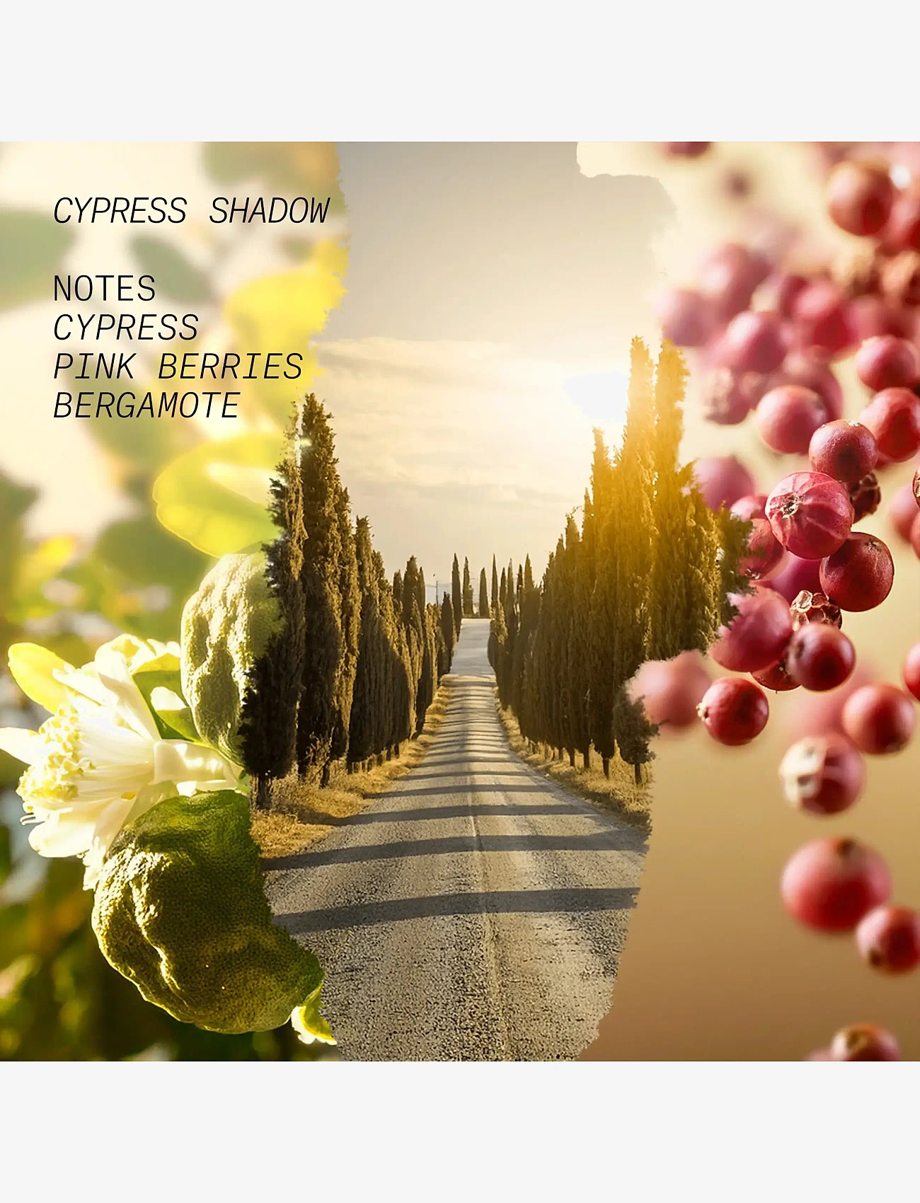 L'atelier Parfum - EDP CYPRESS SHADOW 100ML - till honom  - clear - 3