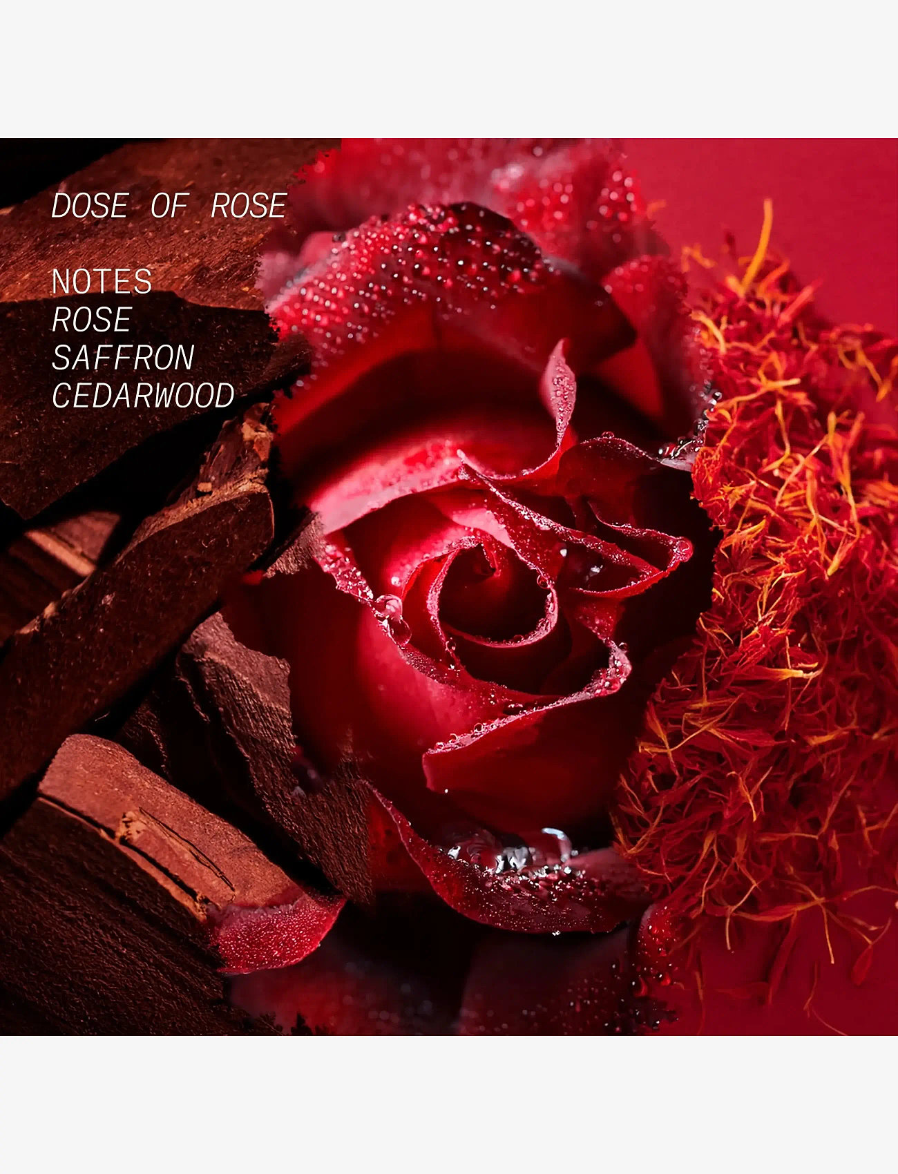 L'atelier Parfum - EDP DOSE OF ROSE 100ML - miehille  - clear - 2