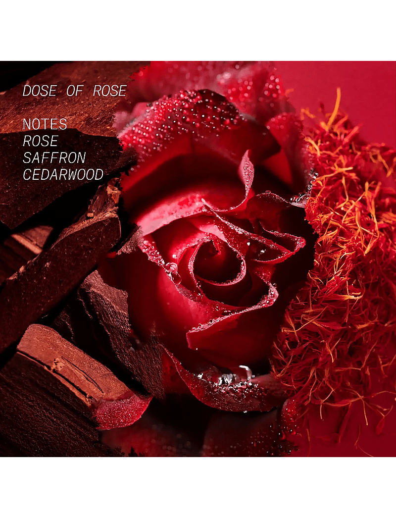 L'atelier Parfum - EDP DOSE OF ROSE 100ML - meestele - clear - 2