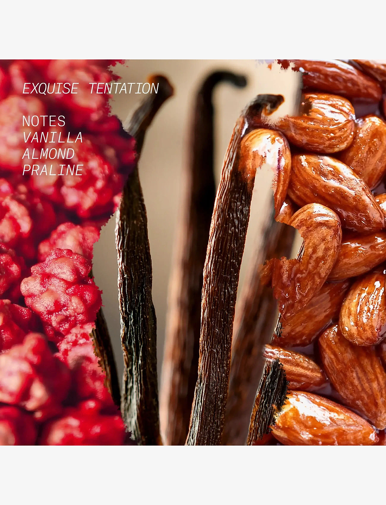 L'atelier Parfum - EDP EXQUISE TENTATION 15ML - till honom  - clear - 3