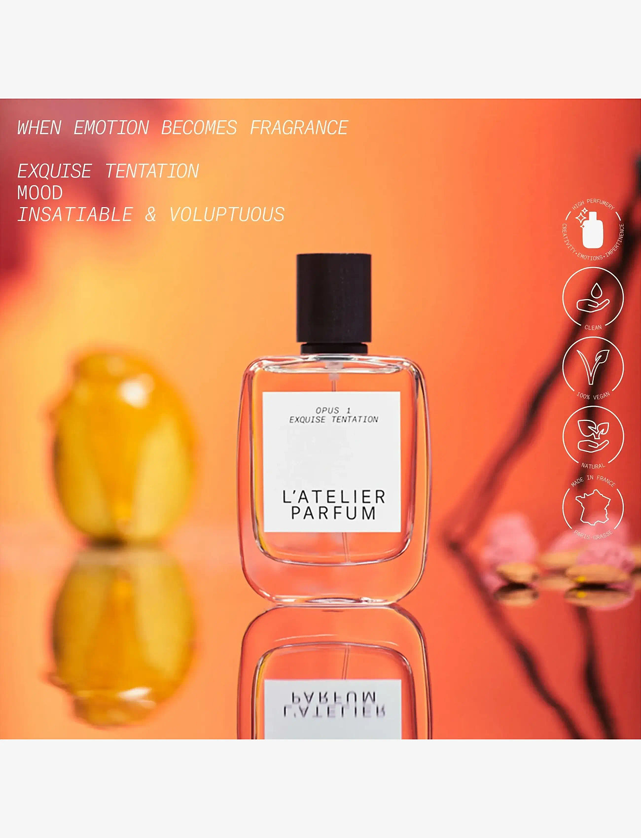 L'atelier Parfum - EDP EXQUISE TENTATION 50ML - meestele  - clear - 2