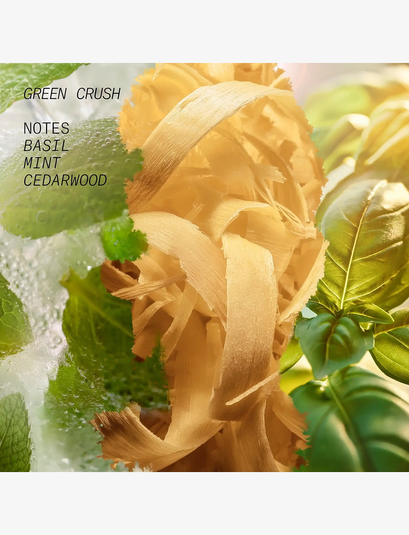 L'atelier Parfum - EDP GREEN CRUSH 50ML - til ham  - clear - 2