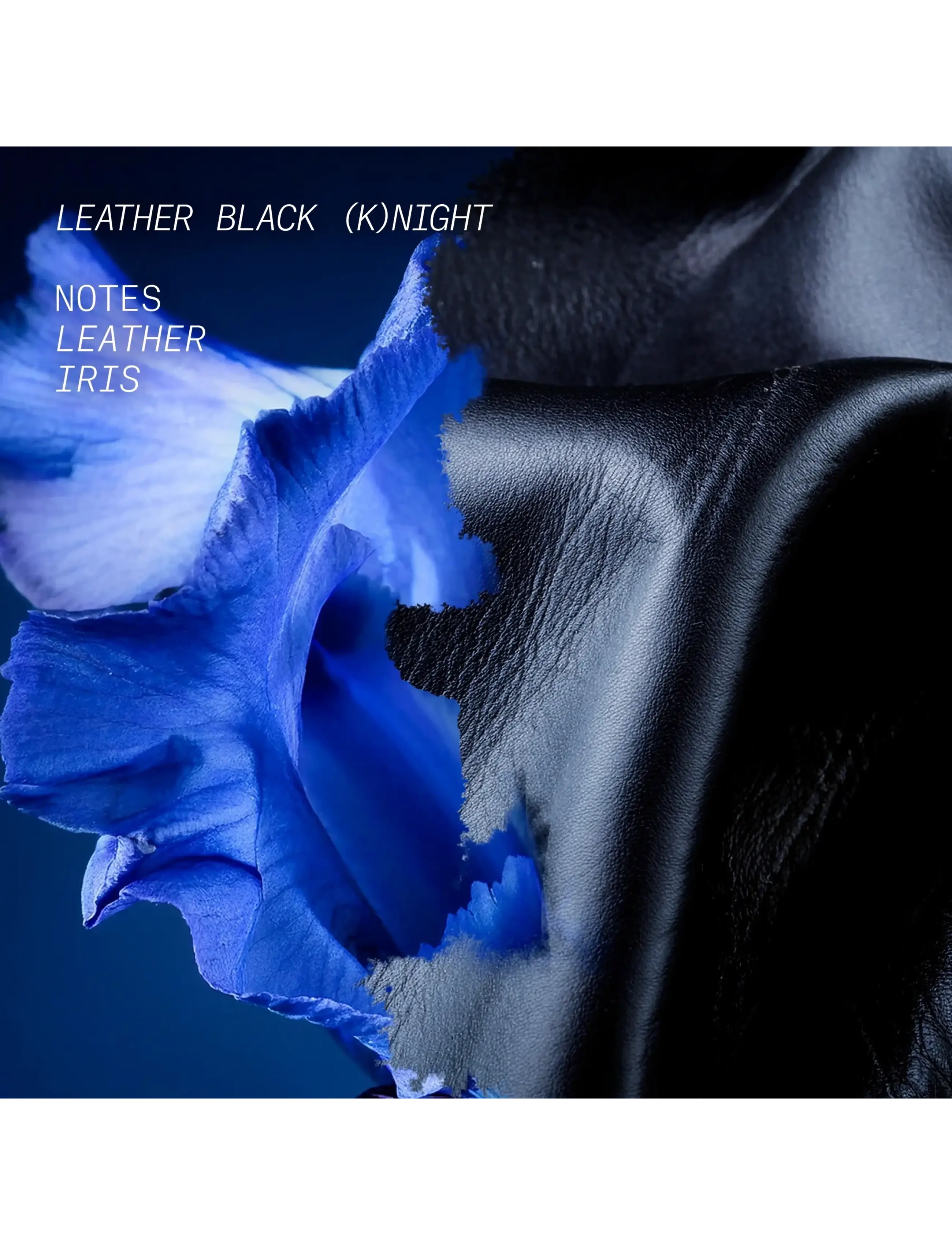 L'atelier Parfum - EDP LEATHER BLACK KNIGHT 15ML - til ham  - clear - 3