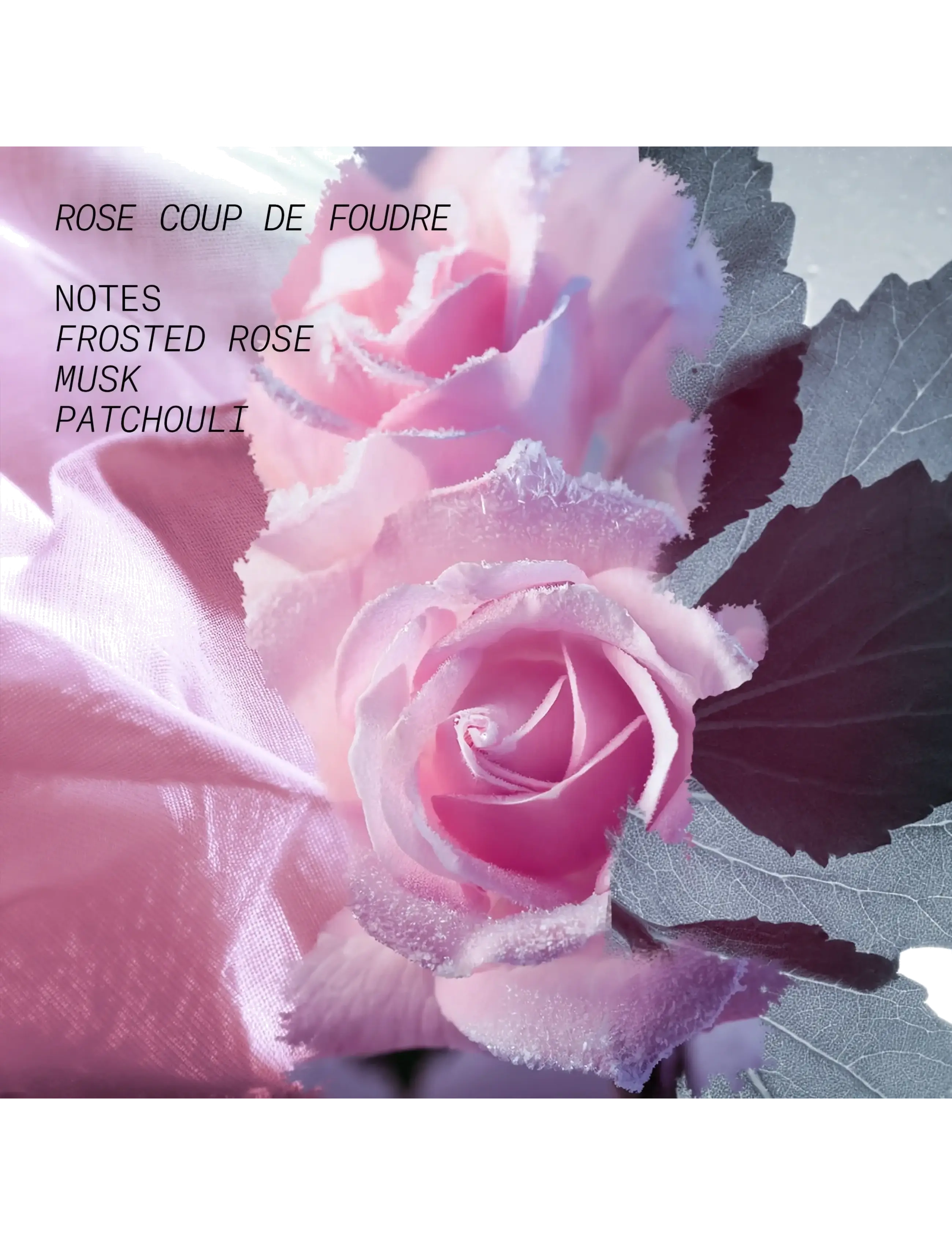 Edp Rose Coup De Foudre 4