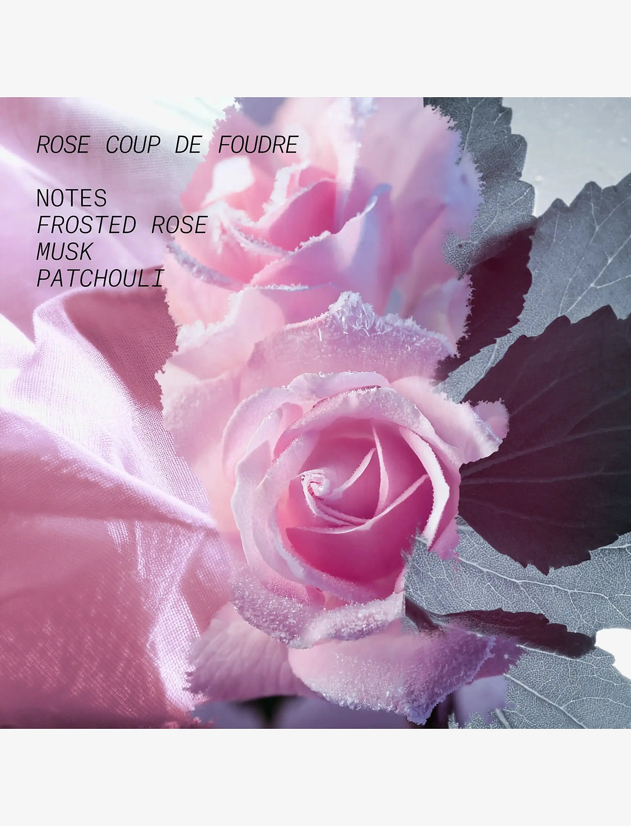 L'atelier Parfum - EDP ROSE COUP DE FOUDRE 15ML - til ham  - clear - 3